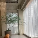 174 | 결혼준비/ 브라이덜 SONO 촬영가봉 후기 (174 키큰신부)