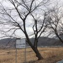 청길강변로 네이버블로그