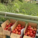 소라쉼터 이미지