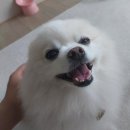 유앤아이동물병원 이미지