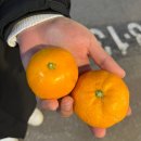 해분유통 | [신논현/강남] 1등급 한 돈 신논현냉삼 맛집, 해분냉삼