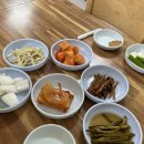 영암흑염소 이미지