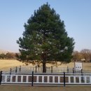 참조은메디케어 네이버블로그