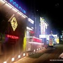 독스동물병원 이미지