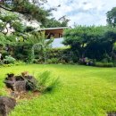 들꽃향기머무는곳 이미지