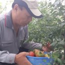 미도농장 이미지