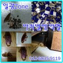 일광ZONE 이미지