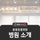 봄봄동물병원 이미지