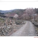 덕대산 ~ 종남산 (2009.4.3) 이미지