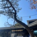 종자리로2 이미지