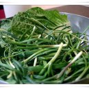 못난이식당 이미지