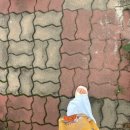 제주도 여행 - 2 (연돈, 테디베어 뮤지엄, 아르떼뮤지엄, 오설록)
