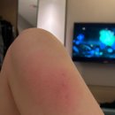 땅콩 게임장 | ❣️ 대만 타이베이 행복했던 여행 1일,2일차 ~ ( 가볼곳 , 먹거리 추천 ) 🧸✈️ ❣️