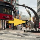 육호 하우스 네이버블로그