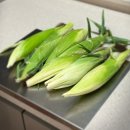 르꼼떼블루 | 평창 가족여행 감성숙소 독채펜션 르꼼떼블루(웰컴 옥수수🌽)