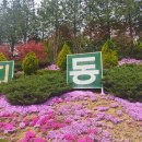동산잔디 이미지