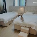 벨로센시