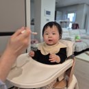 오구내정육점 | [육아일기] D+269~D+275 / 8개월 끄읕 / 네발기기 / 걸음마 연습