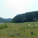 칠갑산 도림온천 이미지