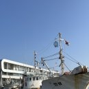 창하회식당 | [울진] 죽변항 수산물 시장에서 대게 홍게 포장해서 숙소에서 먹기 | 창하 회식당