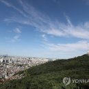 푸른하늘 이미지