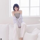 정가이