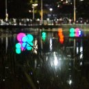 수완호수공원 이미지