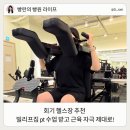 회기6 | 회기 헬스장 빌리프짐 pt 수업 후기