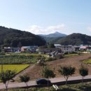 용문농협하나로마트(단월점) 이미지