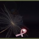 강남한의원 이미지