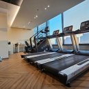 에이플 프리미엄 피티 이미지