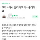 방금전 엘지 팬카페에 올라온 켈리+김진성+LG선수들 고박사 회식 목격썰 이미지