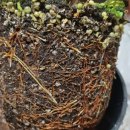 문겸농장 이미지