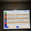 제주강자매속눈썹왁싱 | 꼼꼼하게 케어해주시는 [네일 왁싱 by.고윤] 자석 젤네일 후기