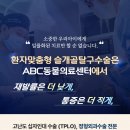 ABC 동물의료센터 이미지