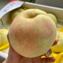 삐야삐야 | 추석 과일선물 추천 【삐야네종합과일】 딱복숭아 4kg 솔직후기