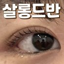 살롱드반 이미지