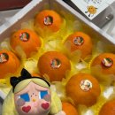 새콤달콩 | 제주여행 선물 고민NO 레드향/ 떡집더함 /제주하멜/ 마음샌드 후기:)