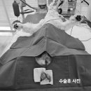 백호동물병원 이미지