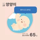 전라도 광주빵집 풍암동 베비에르 본점 서울에서 찾아간 광주맛집?