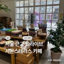 시몬스테라스 카페 이천 서울근교 나들이 드라이브 가볼만한 곳