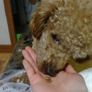 장군소프트 이미지