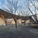 단양글램핑&펜션 | 단양글램핑&amp;펜션 힐링과 휴식이 가능한 신축 숙소