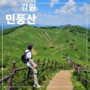 [공지] 풍경이 아름다운 민둥산 돌리네 초보등산코스 후기