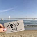 비비드봉 이미지
