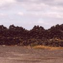 서원동-60 이미지