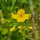 남양낚시터 이미지