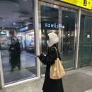 Shopping | 아르토 카프리 스웨이드 숄더백 후기