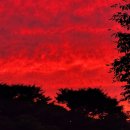 조천농장 이미지