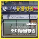 페츠온동물병원 이미지